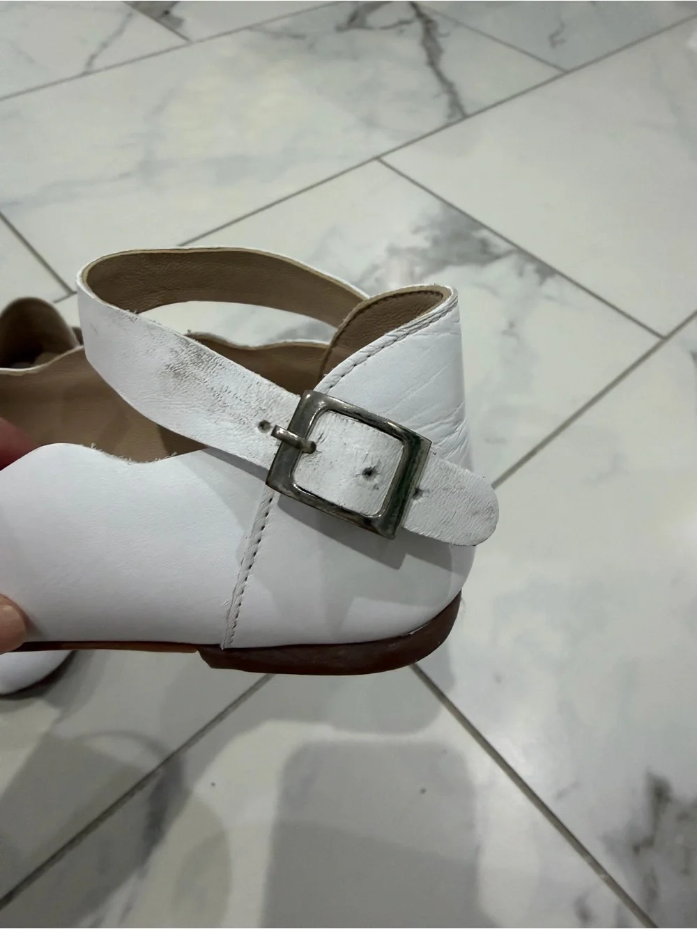 Elephantito cute white